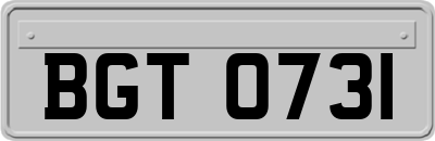 BGT0731