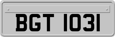BGT1031