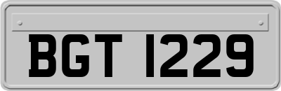 BGT1229