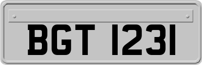 BGT1231
