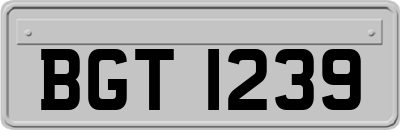 BGT1239