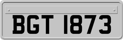 BGT1873