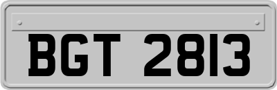 BGT2813