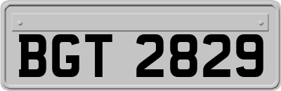 BGT2829