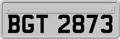 BGT2873