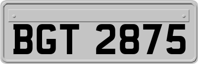 BGT2875