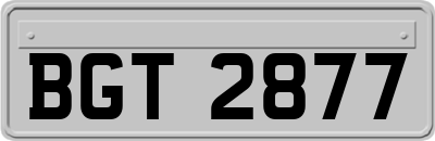 BGT2877