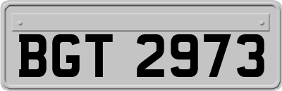 BGT2973