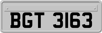 BGT3163