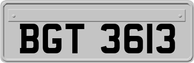 BGT3613