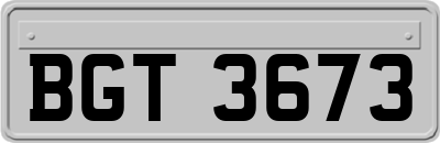 BGT3673