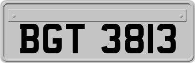 BGT3813