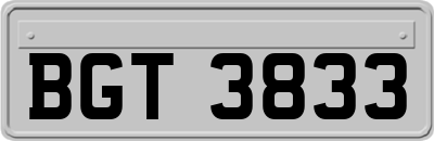BGT3833