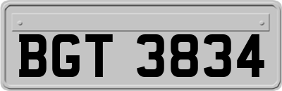 BGT3834