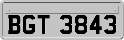 BGT3843