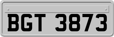 BGT3873