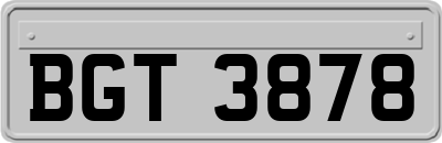 BGT3878