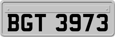 BGT3973