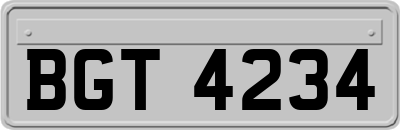 BGT4234