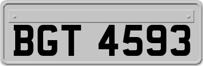 BGT4593