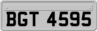 BGT4595