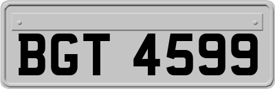 BGT4599