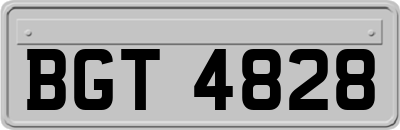 BGT4828