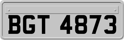 BGT4873