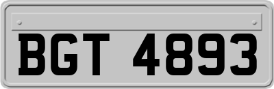 BGT4893