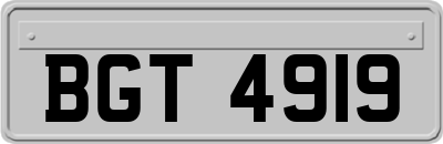 BGT4919