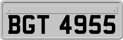 BGT4955