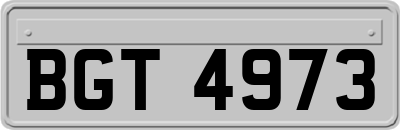 BGT4973