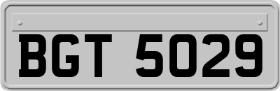 BGT5029
