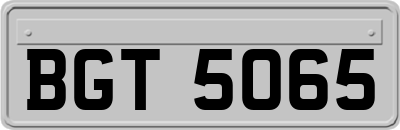 BGT5065