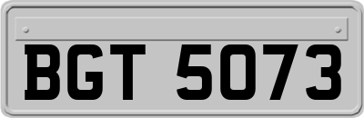 BGT5073