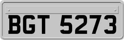 BGT5273