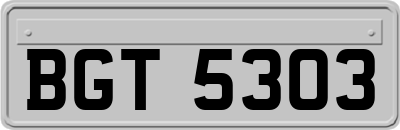 BGT5303