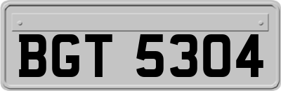 BGT5304