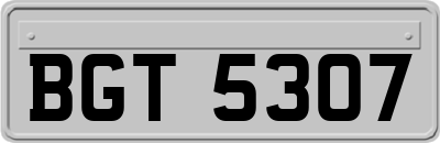 BGT5307