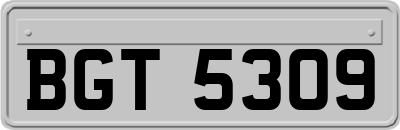 BGT5309
