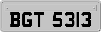 BGT5313