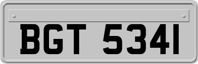 BGT5341