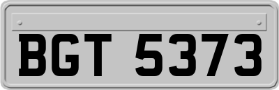 BGT5373