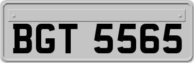 BGT5565