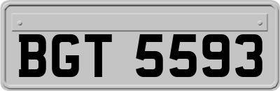 BGT5593