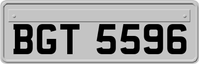 BGT5596