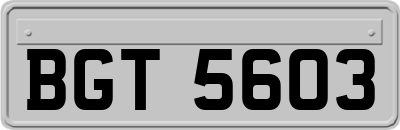 BGT5603