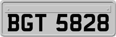 BGT5828