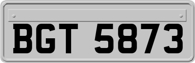 BGT5873