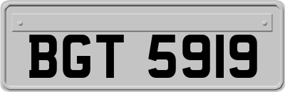 BGT5919